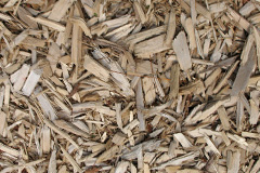biomass boilers Drointon
